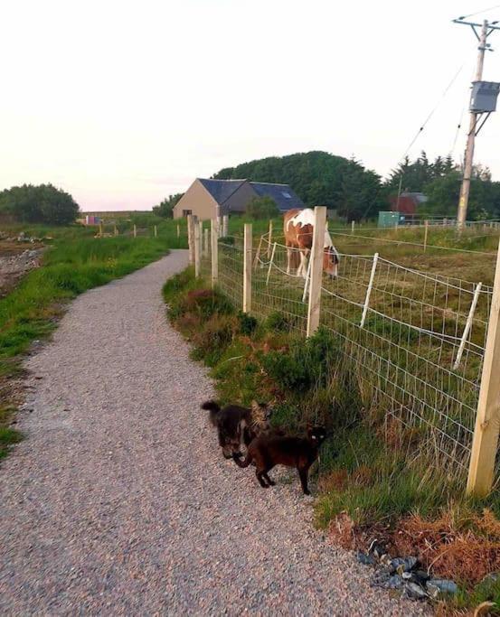 Isla'S Cottage Stornoway  Bagian luar foto